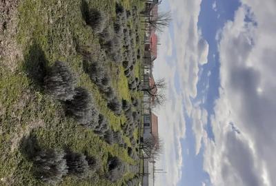 Teren în Valea Dacilor - 1