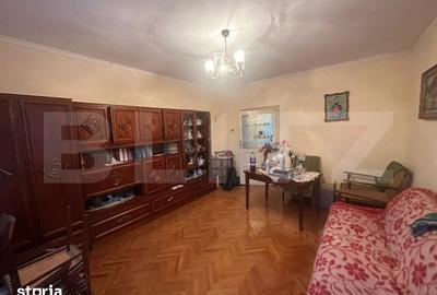 Casă cu 4 camere cu Teren 6197 Mp în Micula - 4
