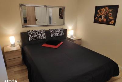 Apartament cu 2 camere în Dumbrăvița - 4