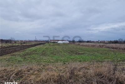 Teren de 1167 mp, în Borș - 5