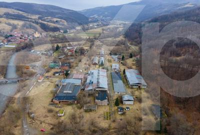Spațiu industrial, de 5,000 mp, în Bucea - 6
