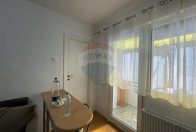 Apartament cu 1 camere semidecomandat, mobilat în Micălaca - 10
