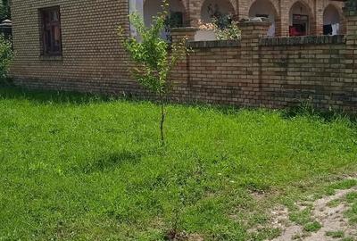 Teren de 3000 mp, în Sacoșu Turcesc