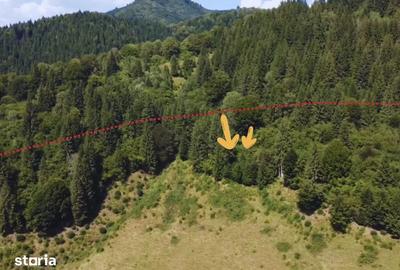 Teren de 35000 mp, în Rucăr