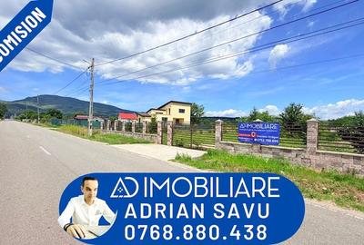 Teren de 8500 mp, în Runcu - 1