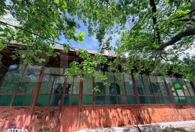 Casă cu 2 camere cu Teren 1192 Mp în Mischii - 12
