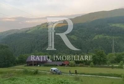 Teren de 10900 mp, în Căbești - 7