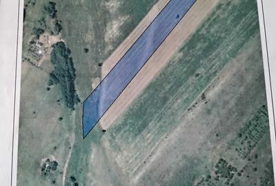 Teren de 8600 mp, în Copăceni
