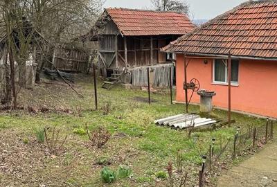 Casă cu Teren 1100 Mp în Văgiulești