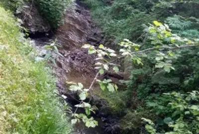 Casă cu Teren 1400 Mp în Râșca