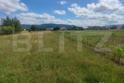 Teren de 6400 mp, în Vicovu de Sus - 1