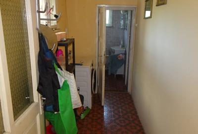 Casă cu 5 camere cu Canalizare în Viile Noi - 10