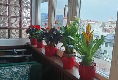 Apartament cu 2 camere decomandat în Central - 2