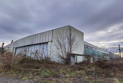 Spațiu industrial, de 4,900 mp, în Exterior Nord - 8