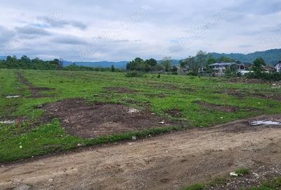 Teren de 7500 mp, în Voila - 5