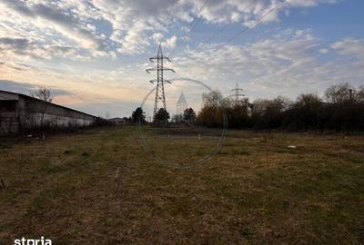 Teren de 6500 mp, în Șieu - 7