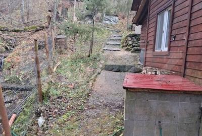 Casă individuală cu 5 camere cu Teren 370 Mp în Muntele Băișorii - 10