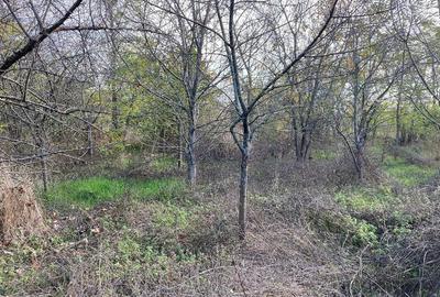 Casă cu 3 camere cu Teren 1500 Mp în Ulmu