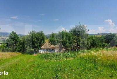 Casă cu 2 camere cu Teren 4000 Mp în Barcani - 4