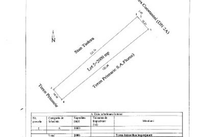 Teren Construcții intravilan de 2000 mp, în Crucea