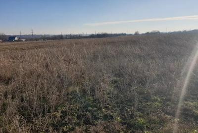 Teren de 3750 mp, în Nord