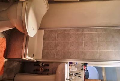 Apartament cu 3 camere decomandat în Tineretului - 10