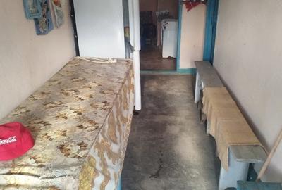 Casă cu Teren 4000 Mp în Calopăr