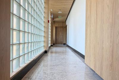 Apartament cu 2 camere semidecomandat în Domenii - 13