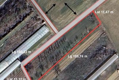 Teren Construcții intravilan de 1430 mp, în Copăceni - 4