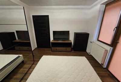 Apartament cu 2 camere semidecomandat, mobilat în Tipografilor - 4