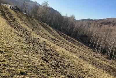 Teren de 10000 mp, în Munteni