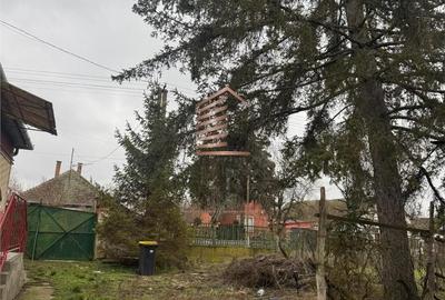 Casă cu 4 camere cu Teren 2000 Mp în Vest