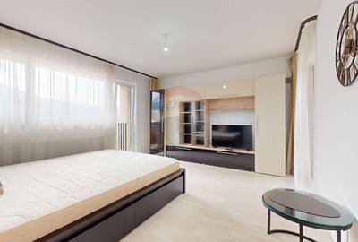 Apartament cu 1 camere decomandat, mobilat în Noua - 1