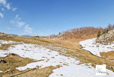 Teren Construcții extravilan de 150000 mp, în Șirnea - 36