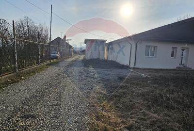 Teren de 1000 mp, în Hemeiuș - 1