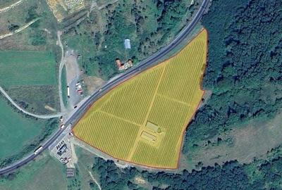 Spațiu comercial, de 370 mp, în Lăpugiu de Jos - 2