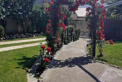 Casă cu 2 camere cu Teren 1192 Mp în Sântămăria-Orlea - 4
