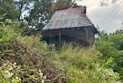 Casă cu 2 camere în Luncșoara - 3