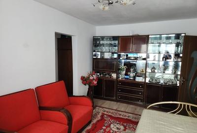 Apartament cu 2 camere semidecomandat în Uric - 5
