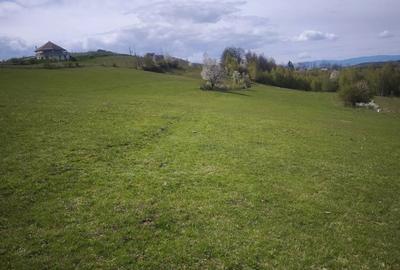 Teren de 9800 mp, în Poșaga - 2
