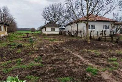 Teren de 1704 mp, în Balta Doamnei