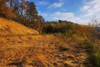 Teren de 1500 mp, în Calea Caransebeșului - 6