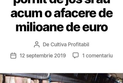 Teren de 46000 mp, în Central