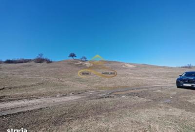 Teren de 6625 mp, în Mărgineni - 5