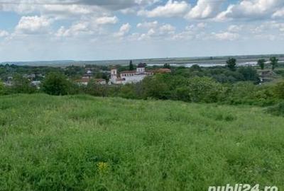 Teren de 4400 mp, în Comana - 6