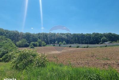 Teren de 872.43 mp, în Snagov