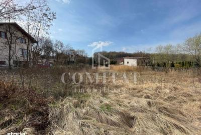 Teren de 800 mp, în Făget - 2