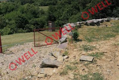 Teren agricol intravilan de 1523 mp, în Calnic - 2