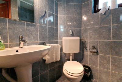 Casă individuală cu 6 camere cu Canalizare în Dobârlău - 9