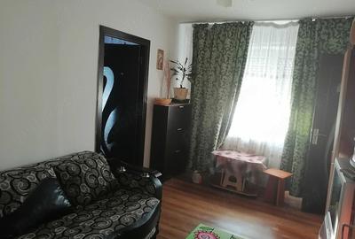 Apartament cu 2 camere semidecomandat în Valea Rosie - 2